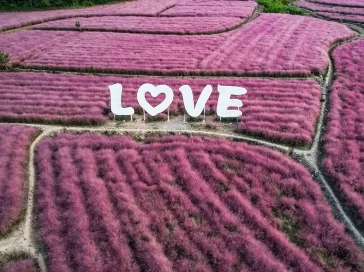 aa8d9714b8f42559d9c8379b7a6f2f86-sz_124689 aa8d9714b8f42559d9c8379b7a6f2f86-sz_124689