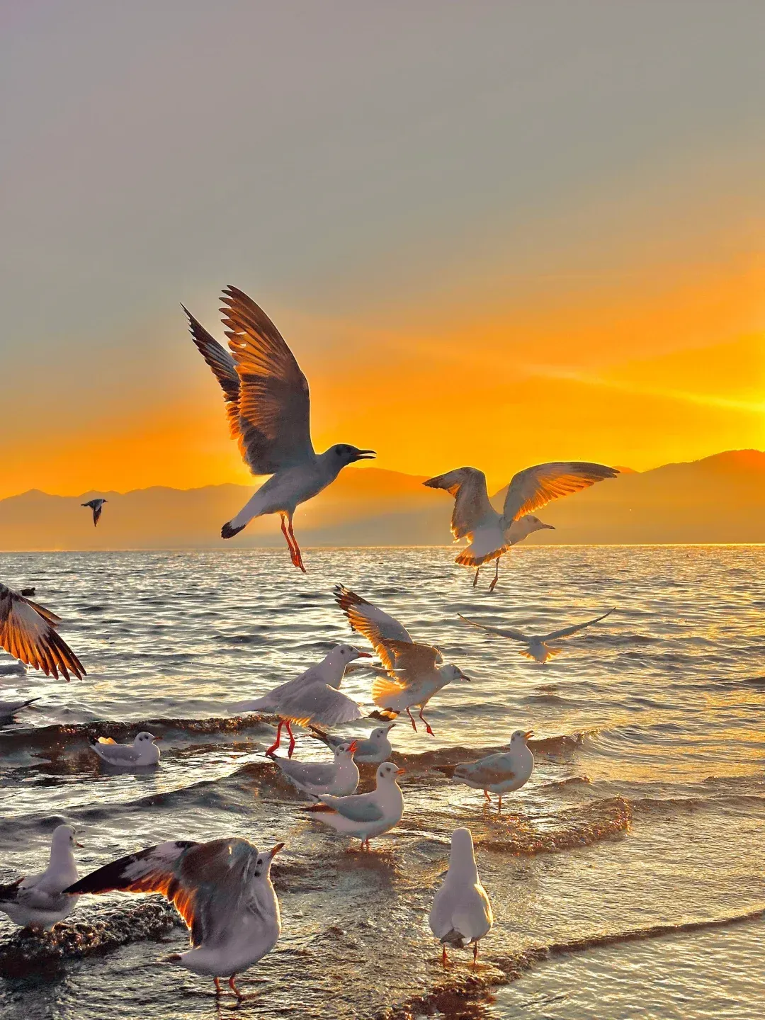 aa98face7b1c18eca775634c7ae9bf16-sz_2568985