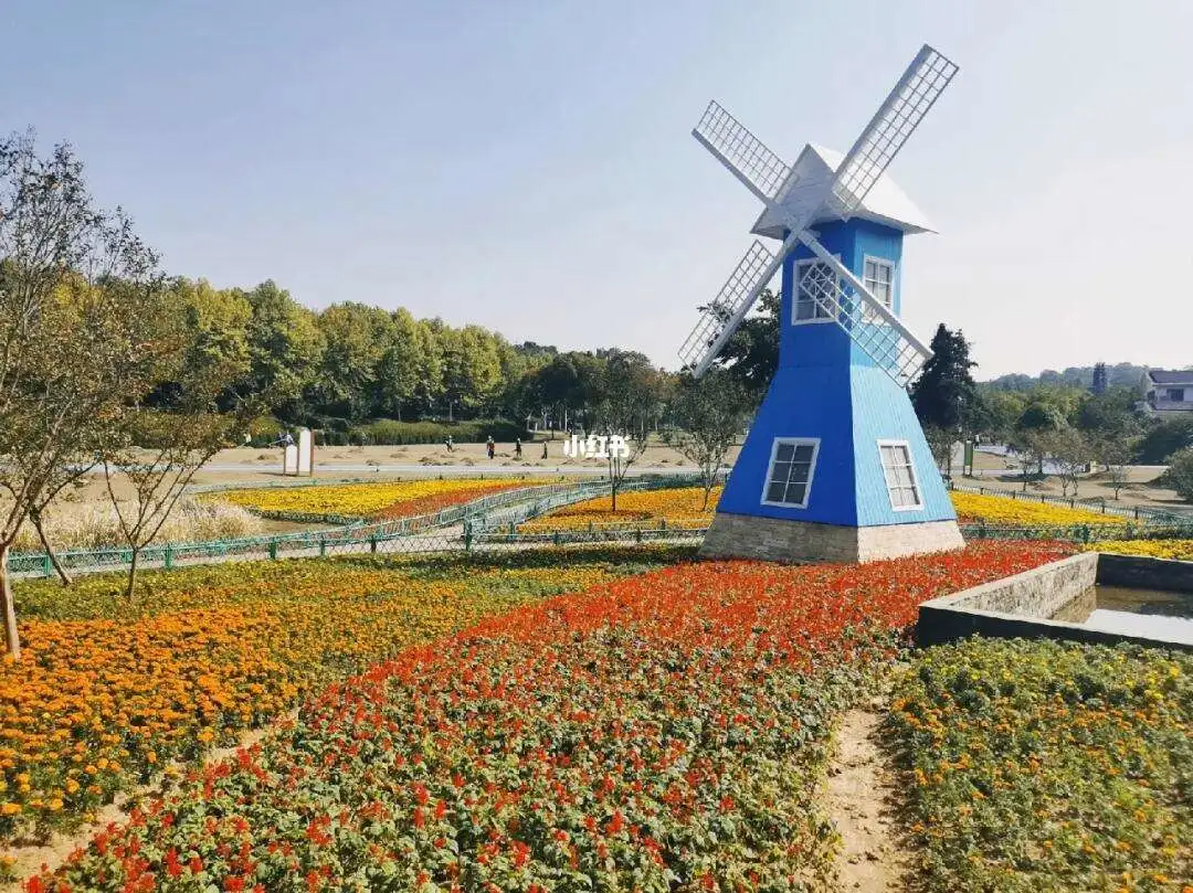 aaf9c4fcd7f6017be819251b7970053d-sz_175865