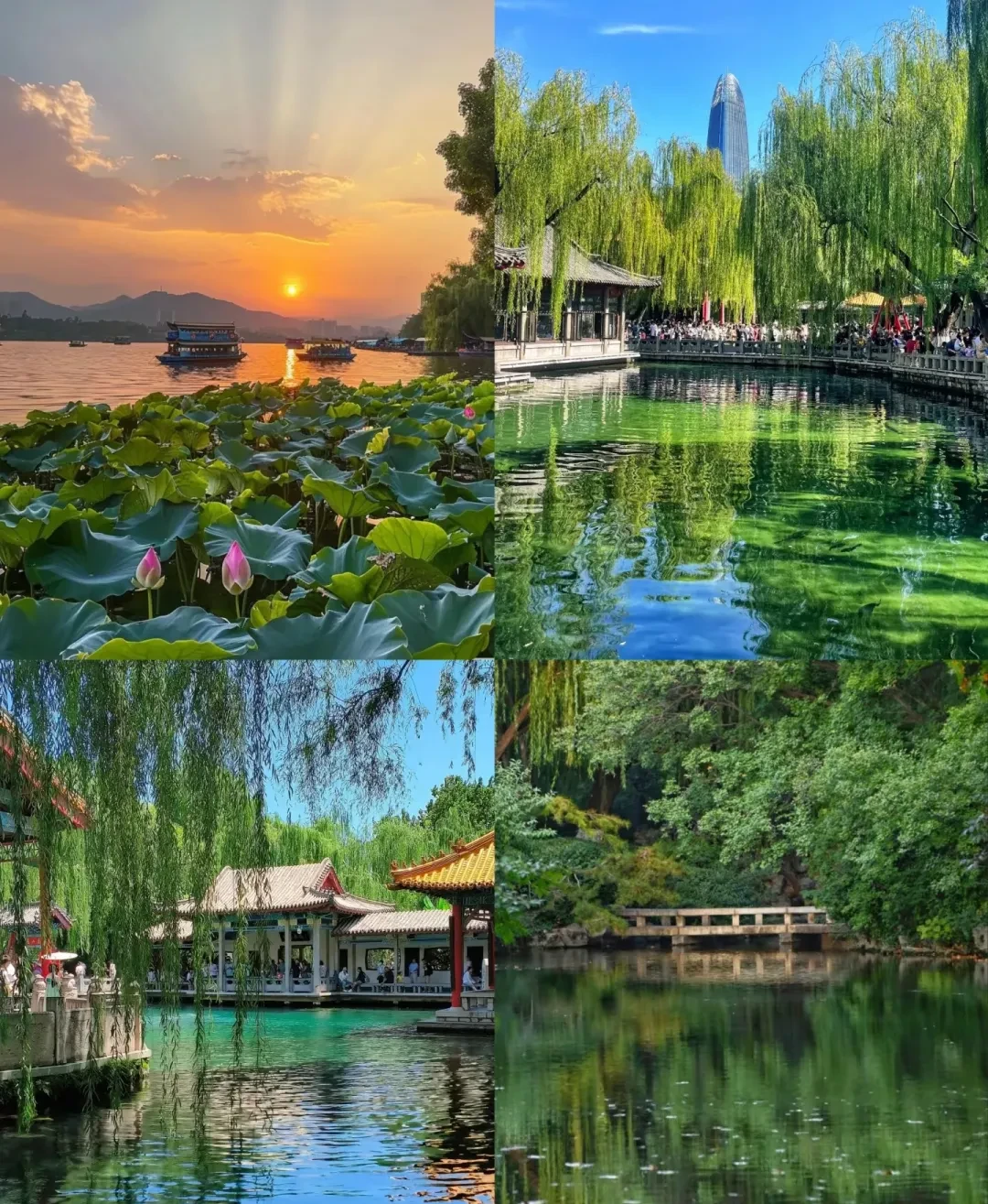 ab00cc0182df72e85c6e24677e2a3b54-sz_983398 ab00cc0182df72e85c6e24677e2a3b54-sz_983398