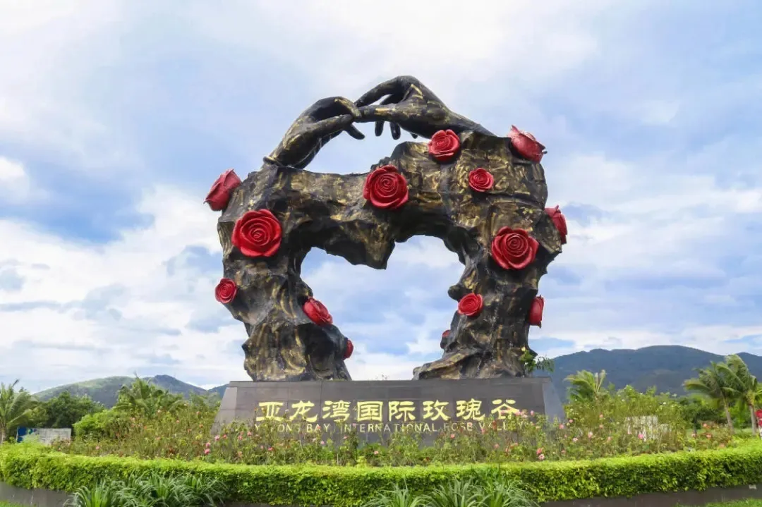 ab7491dc970b4ddf64c5dfa15615b310-sz_455367