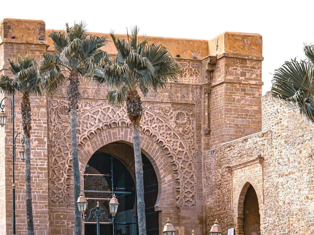 ab82b4494ae9c3af3291148b6e2ab4bc-sz_4815714