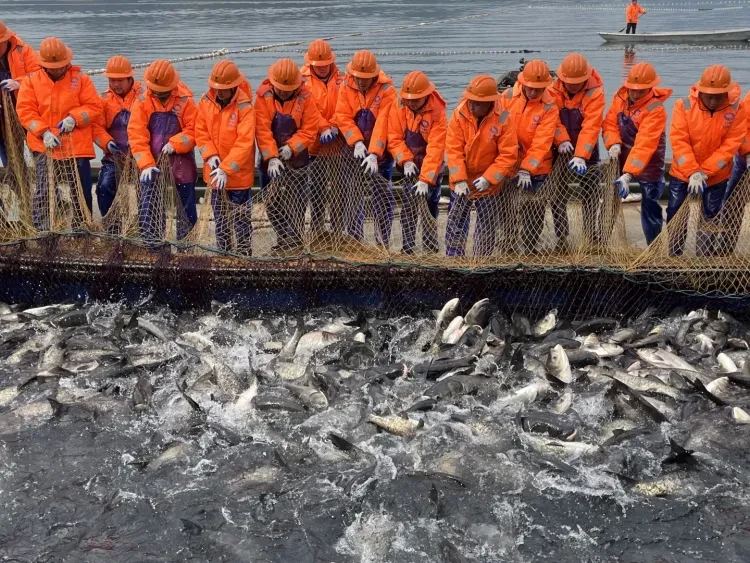 ab8cc1784666875f293ecdda741d4448-sz_3963311