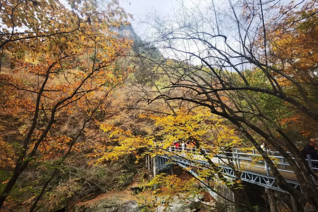 aba4deb7b2ba73bbf7a33b57f92780a5-sz_4736104