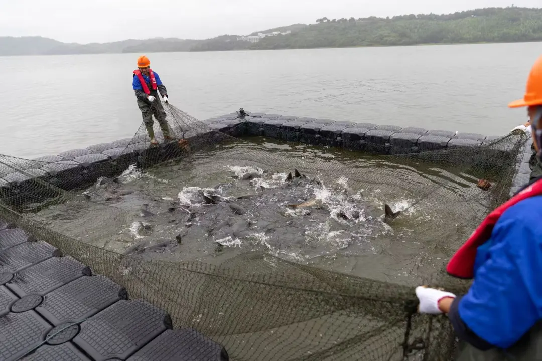 abd5202a9c6055aeb72ab483ad2f5258-sz_390347