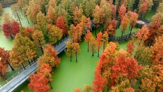 abd563171847f98dda782321cacef3fe-sz_620713