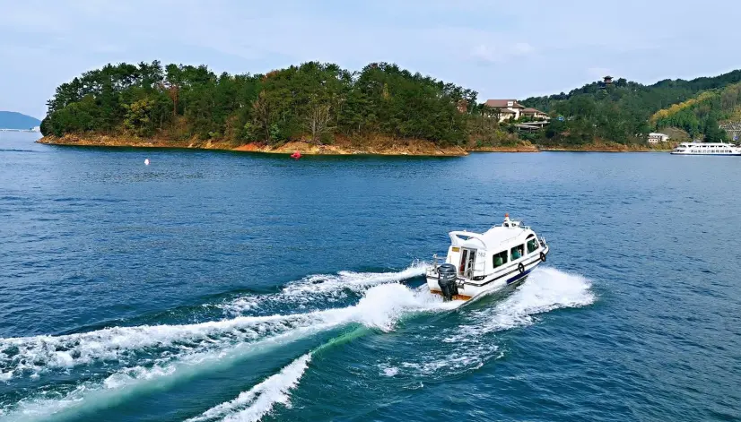 abfe003e3d48596f31d4a180f10b8111-sz_845198-1