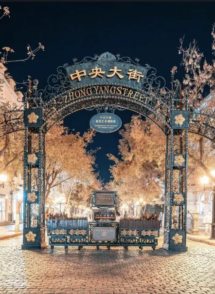 ac808643459038471726898d023b7772-sz_687394