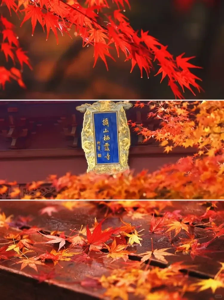 ac88d9b6747d7e0c7c32d9c68c21c72e-sz_3157835