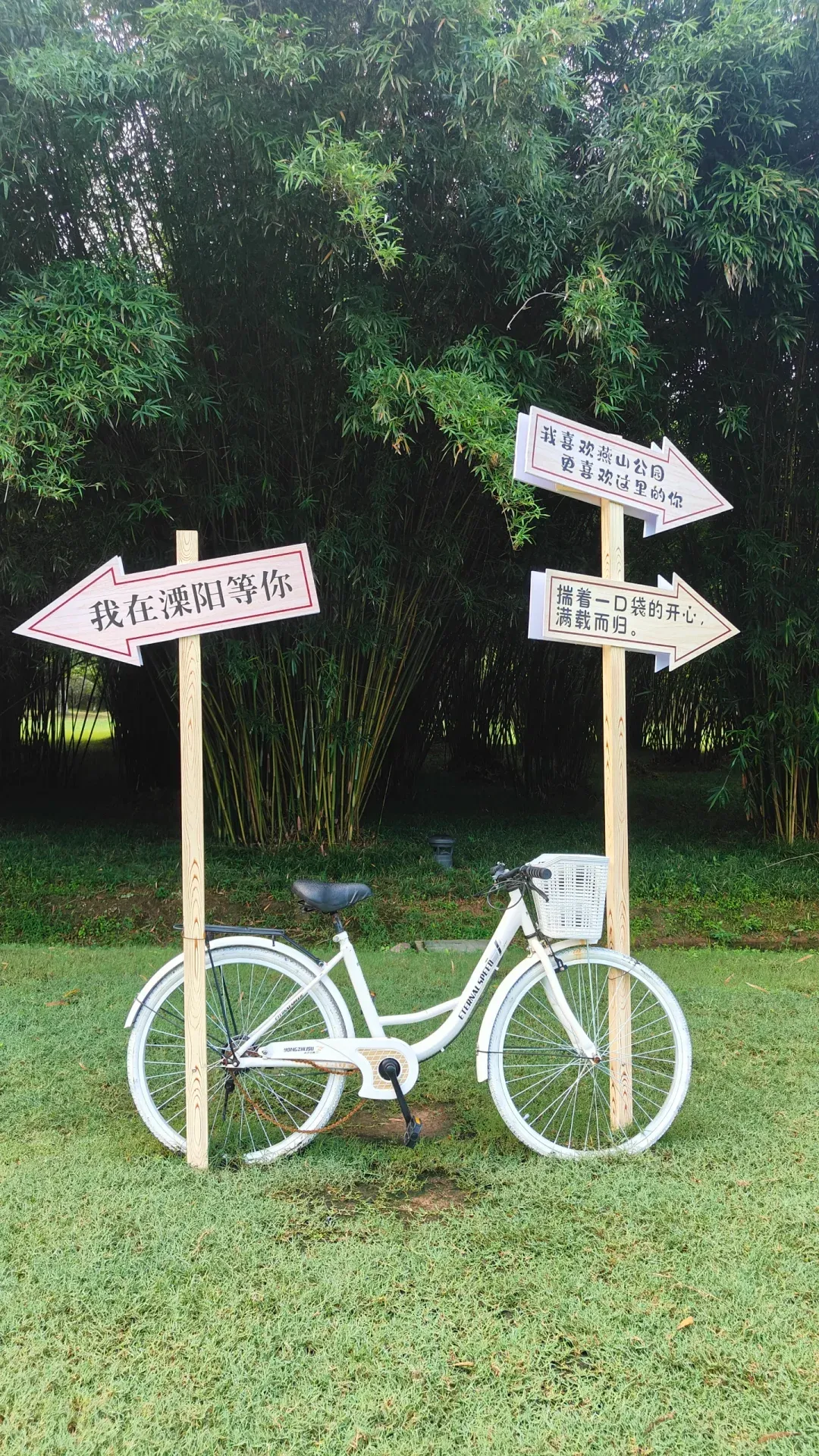 acc028b514ced39ae45e1994ddfd55db-sz_4902024