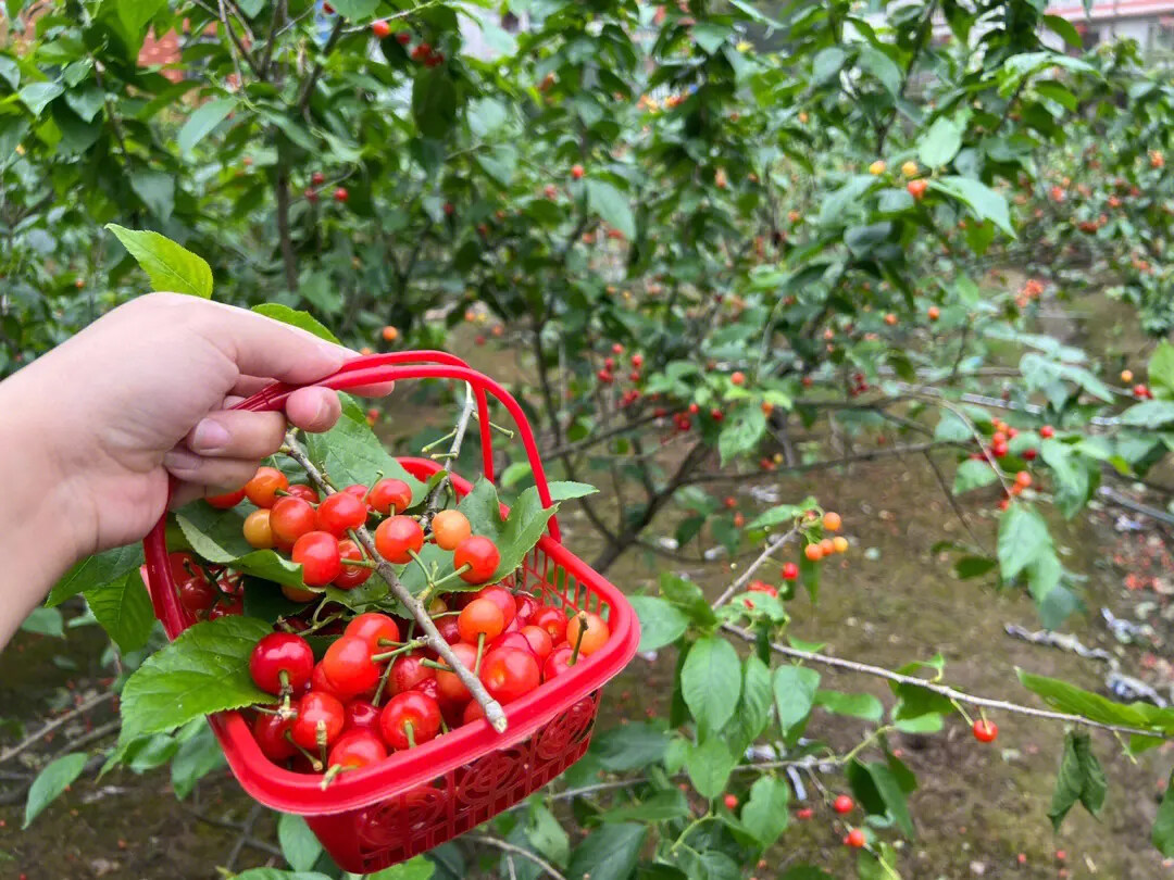 ace23bc182b6da78612cd5c5c72bae38-sz_700541 ace23bc182b6da78612cd5c5c72bae38-sz_700541