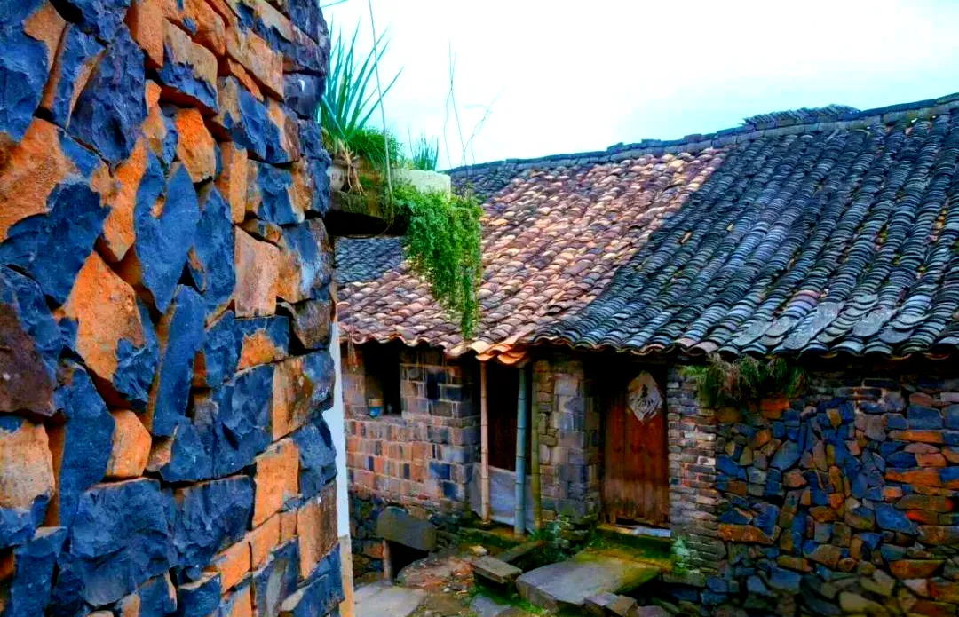 ace5ea3f190d729eab08039766aa01cb-sz_1305962