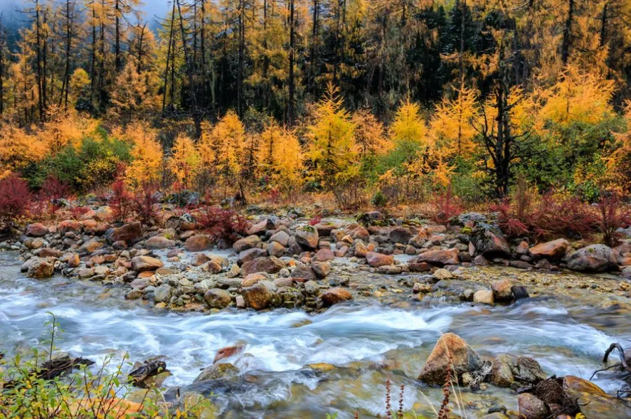 ad01224051dcce6e39241b95a0d40038-sz_1123575