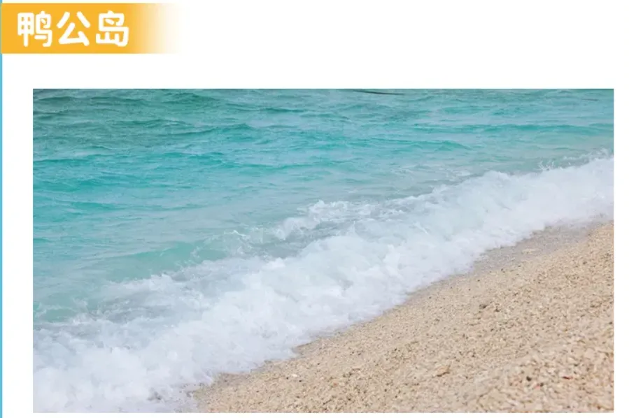 ad1311d90dc4ecd3a66806a8d45a08e8-sz_505191 ad1311d90dc4ecd3a66806a8d45a08e8-sz_505191