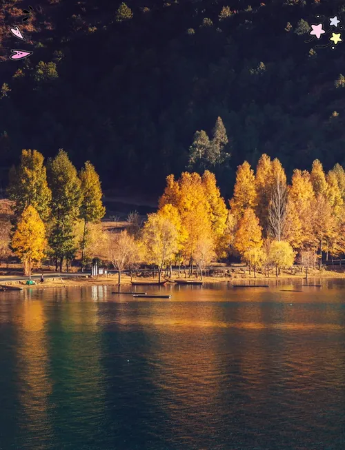 ad4693038d8e4f0355890acca3484057-sz_618734