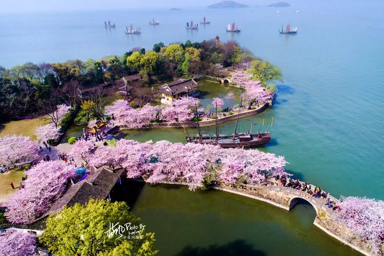 ad4c4a6553627cbb1798ee92545412c8-sz_101363 ad4c4a6553627cbb1798ee92545412c8-sz_101363