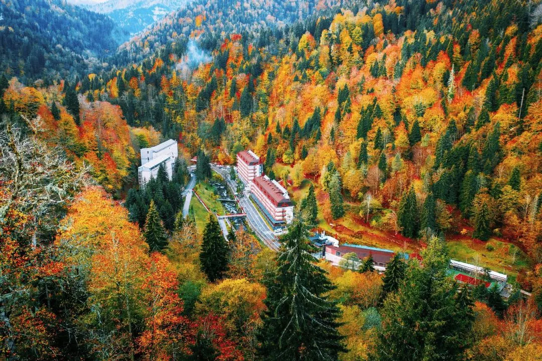 ad966786ec00a3cdb4f4d8a1e1db7027-sz_287412 ad966786ec00a3cdb4f4d8a1e1db7027-sz_287412