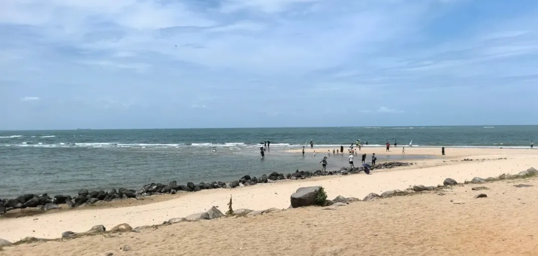 add43098e461122653c49c58c452b4ea-sz_347799