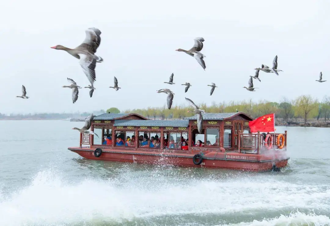 adf7ecac955cf08922fa91ae0efc2952-sz_89273-1