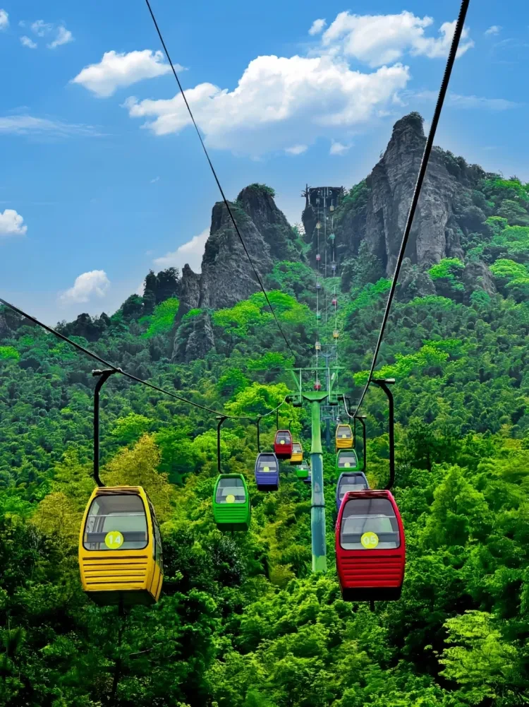 ae20787a934cd8edcc2f4b549d34b824-sz_3499198