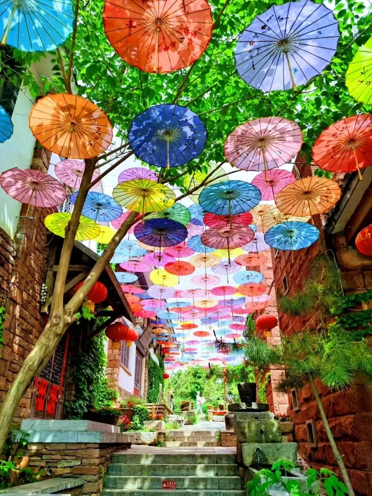 ae8224f3550a4657808723dedb84f86c-sz_3665889