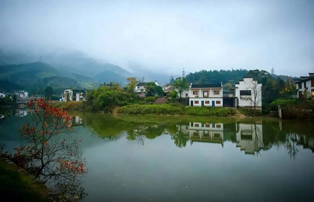 ae950ac91f80fcbeb592c925ccfd41df-sz_80625 ae950ac91f80fcbeb592c925ccfd41df-sz_80625