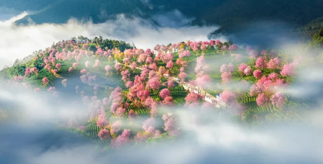 aeb119917a334329fcccb67174157f99-sz_3727291-1 aeb119917a334329fcccb67174157f99-sz_3727291-1