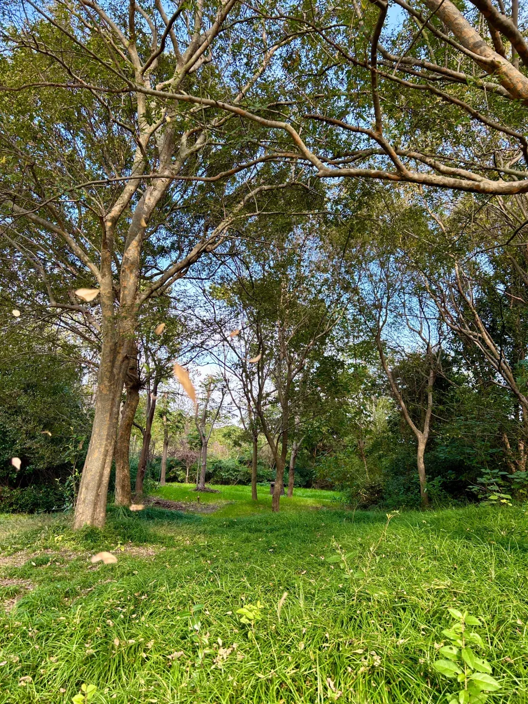 aeb2eef2a19fe79f5a914a75838267e4-sz_4133681