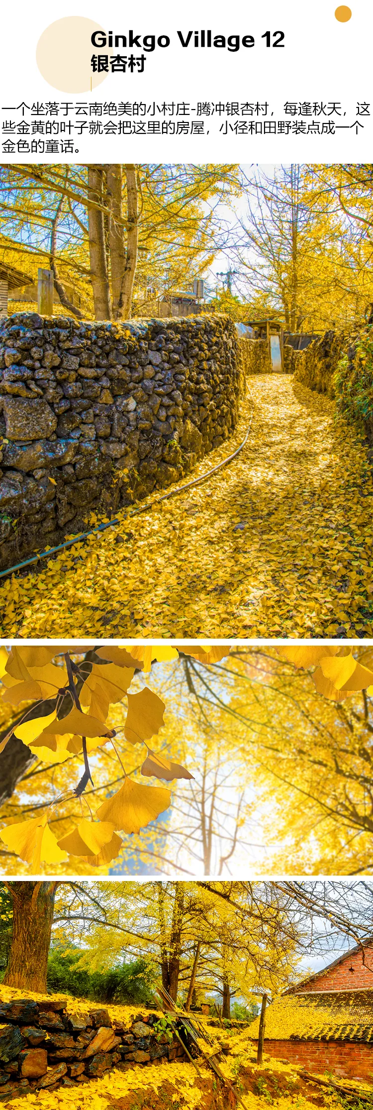 aeccd54f55bb95921f37b38242b9199a-sz_5302008-3 aeccd54f55bb95921f37b38242b9199a-sz_5302008-3