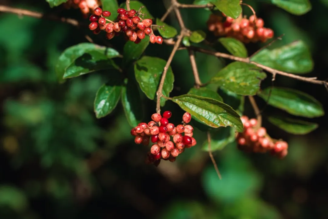 af0e5bfd62738a5bddbc25a1a92e000b-sz_4987108 af0e5bfd62738a5bddbc25a1a92e000b-sz_4987108