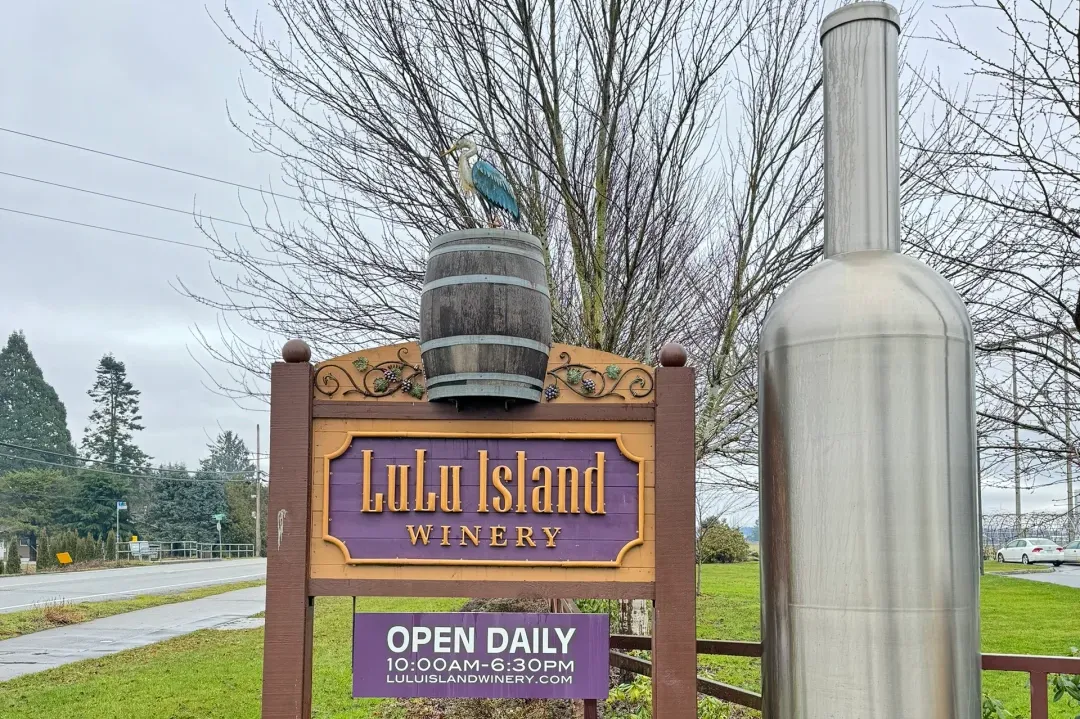 af3d7ff1b984797742b6a178681b951e-sz_2982346