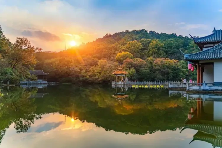 af4d7ab2d52665bc77cc11c756efac4d-sz_110204 af4d7ab2d52665bc77cc11c756efac4d-sz_110204