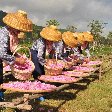 af52f5d0452552d02abc05ad4c2085c4-sz_720627 af52f5d0452552d02abc05ad4c2085c4-sz_720627