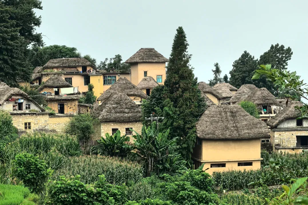 af67b76565c029844b1a73afe344a709-sz_2697405 af67b76565c029844b1a73afe344a709-sz_2697405