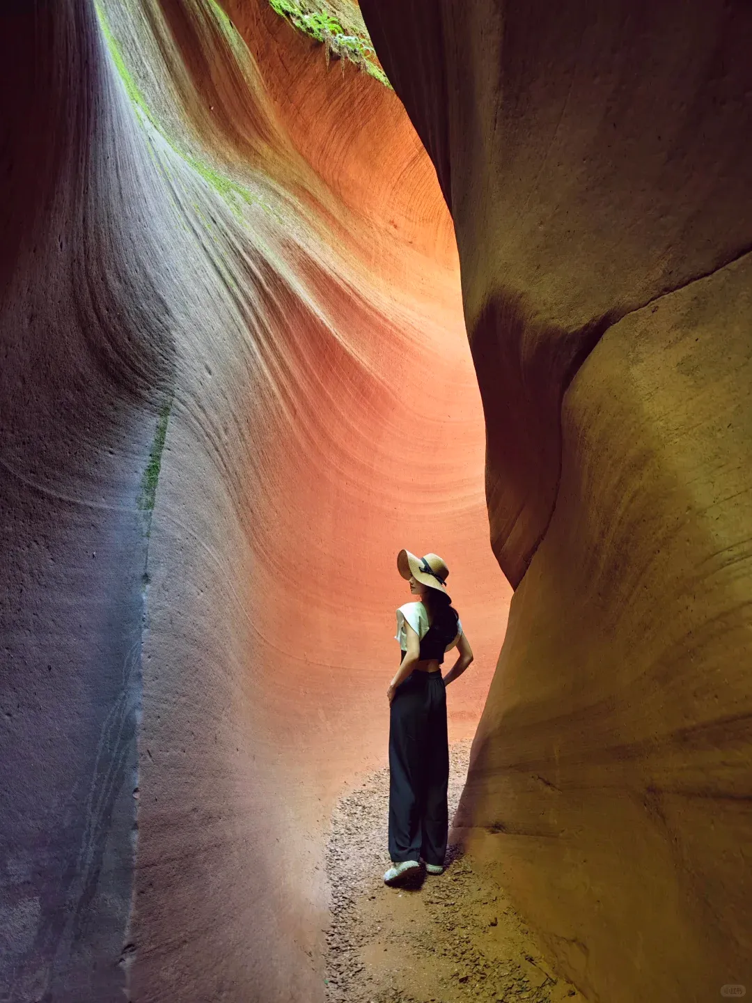 af9f59bcbd922f15346b66ac78f4cbd5-sz_2234149