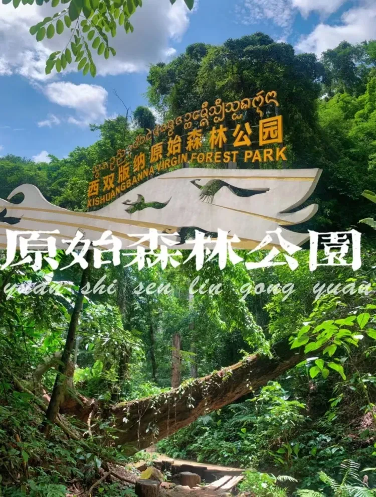 afe2b7a0f3ebeb1c7b4614f036efdb35-sz_4454801 afe2b7a0f3ebeb1c7b4614f036efdb35-sz_4454801