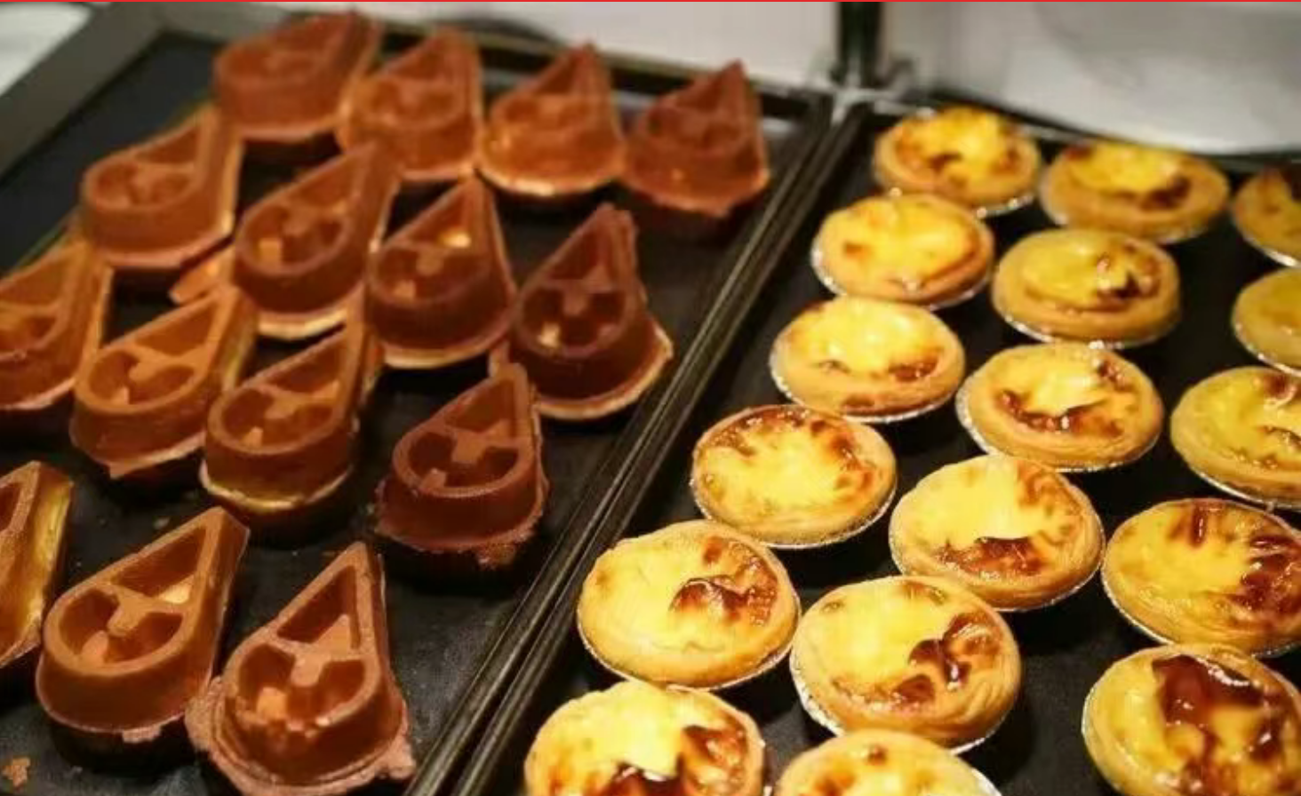 afe8e982f7d8a06a174691d4e7d7c236