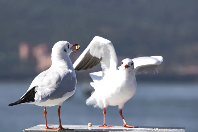 b02bbfda41e963b91c82a493da360459-sz_2772616-1 b02bbfda41e963b91c82a493da360459-sz_2772616-1