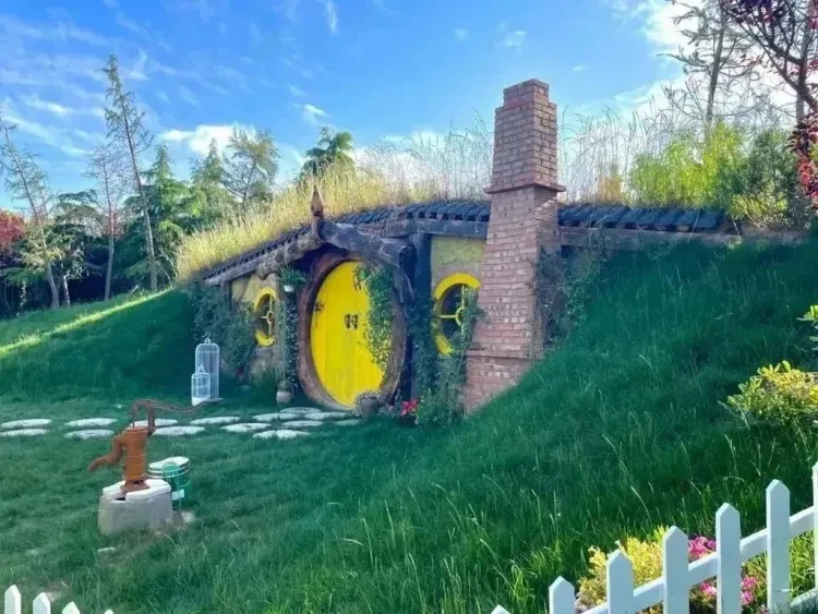 b02be2a867b8cdcec4384e569a6e4751-sz_176402