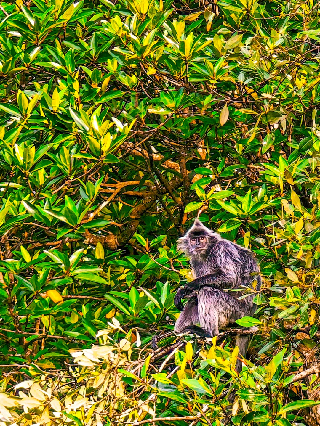 b03802610f9a083002063aecc7e451aa-sz_2643644