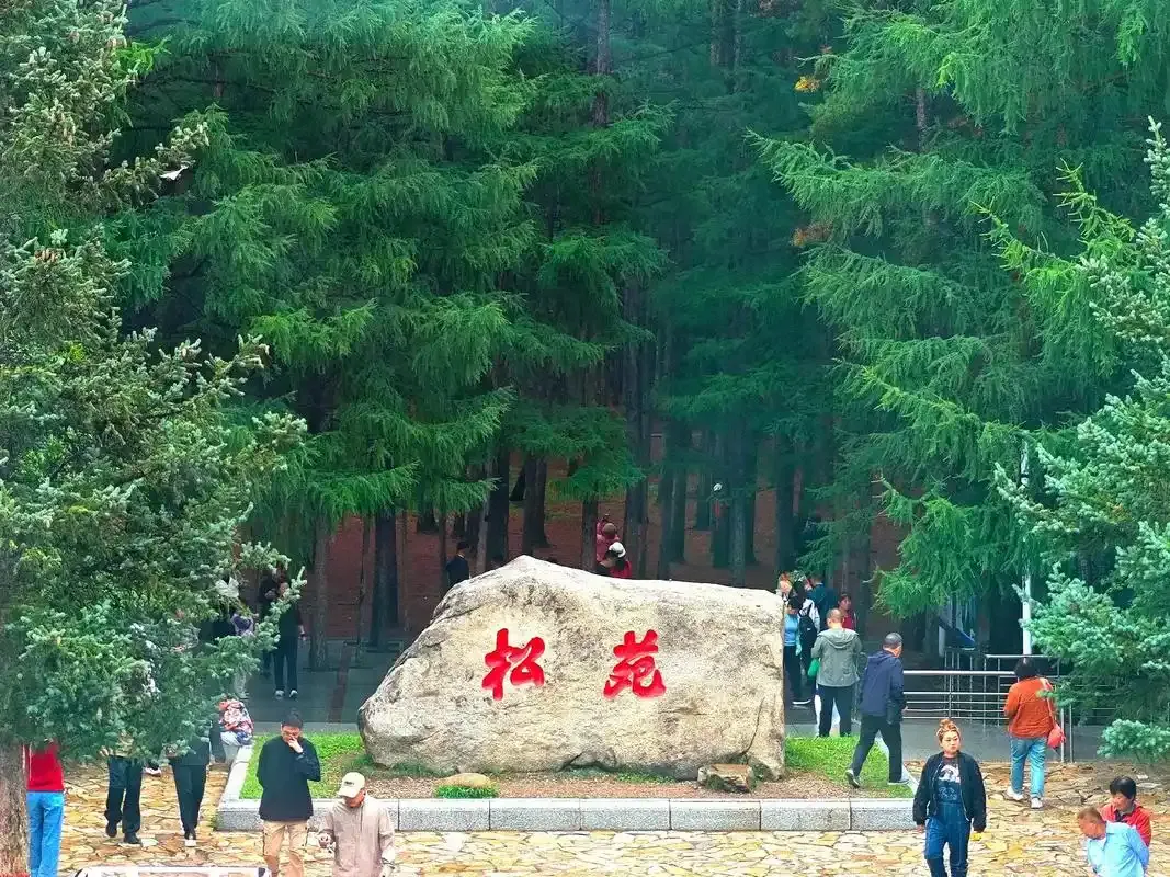 b040aea76beebdfc87bb496b2a5d5b30-sz_2340573 b040aea76beebdfc87bb496b2a5d5b30-sz_2340573