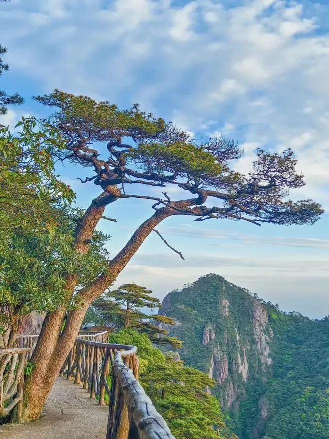 b069333a36c3987c6924baa7eb4a8a42-sz_1402974