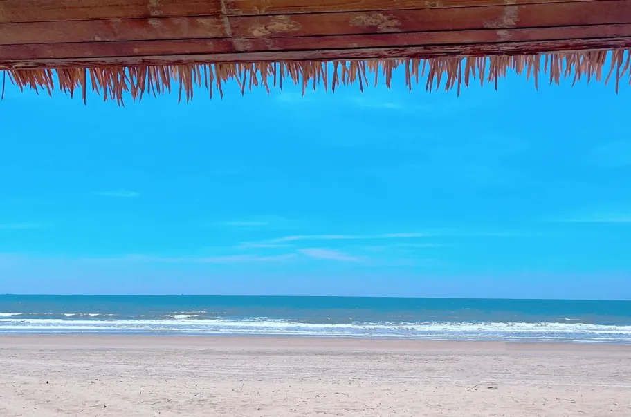 b0a0ce61e08d69cae1507eaa23511b93-sz_415158