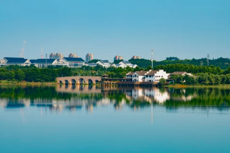 b0adc39d37b8585aad2754d7b92c5d2c-sz_632196 b0adc39d37b8585aad2754d7b92c5d2c-sz_632196