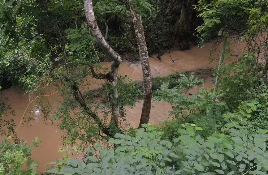 b0ec843c8de78e967e42b0d4582fdb78-sz_474827