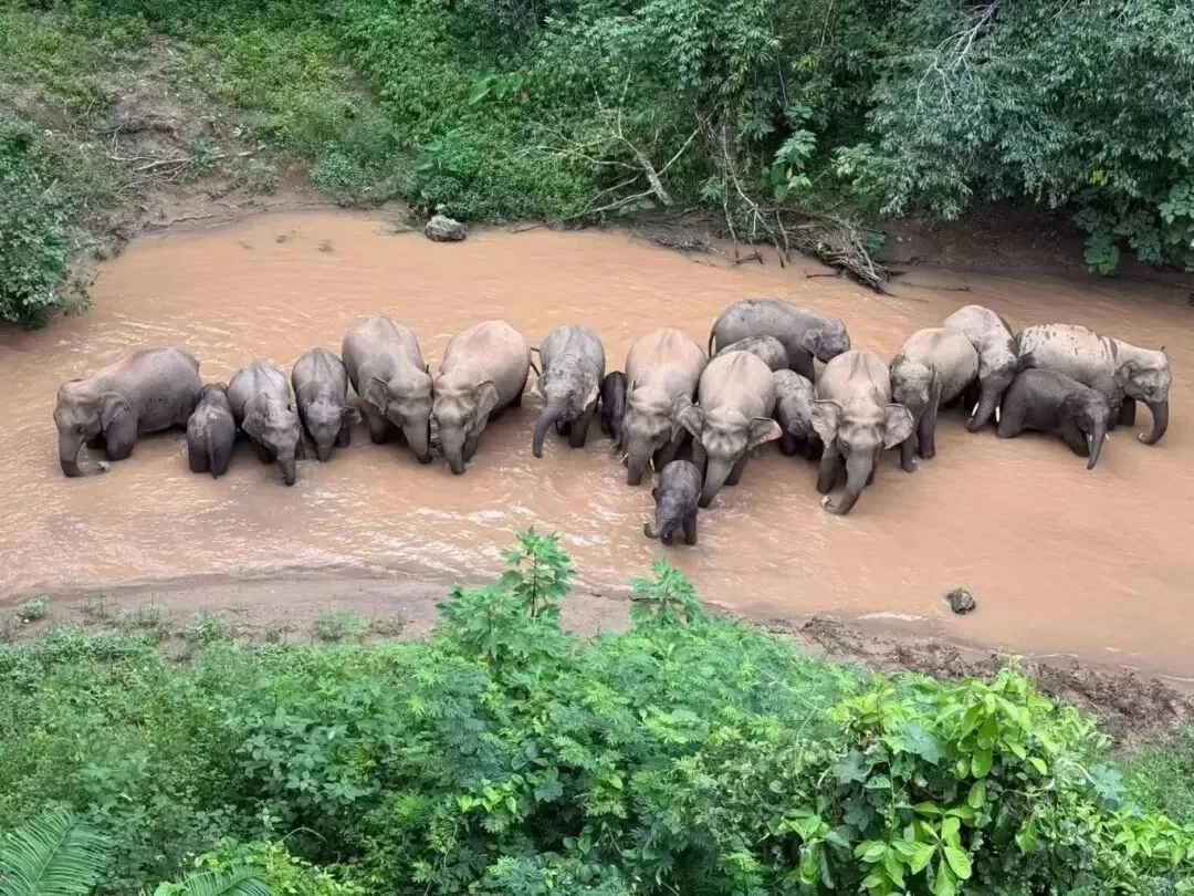 b1086f6f3604f16ef5ed309da22fe2a7-sz_313285 b1086f6f3604f16ef5ed309da22fe2a7-sz_313285