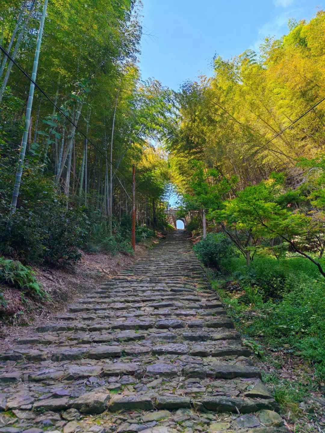 b11a53717616f4e02dfa009431218a93-sz_668242-1