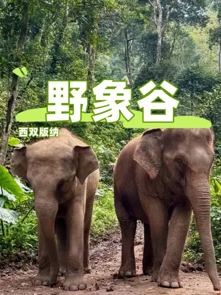 b1281f9e4a178a1f97881609ac3a750a-sz_1940145