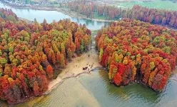 b1c9e218808cb5d9a6ab7cf72edbb11e-sz_96619-1 b1c9e218808cb5d9a6ab7cf72edbb11e-sz_96619-1