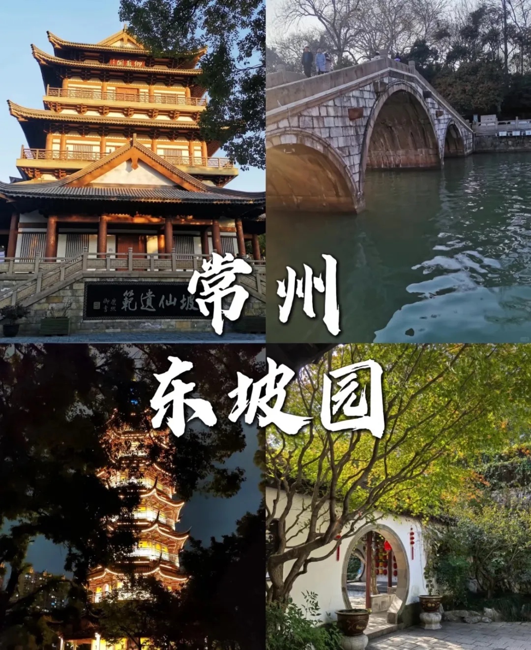 b20b14395f45d03dfe20c691e4c5da40-sz_566957